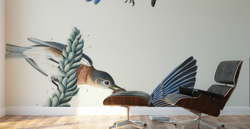 Blue-bird Wall Murals