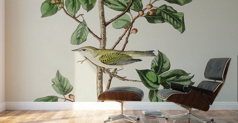 Tennessee Warbler Wall Murals