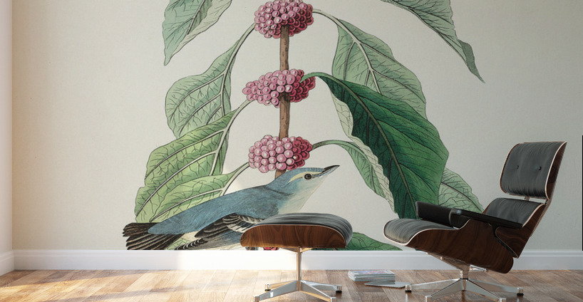 Blue-green Warbler Wall Murals
