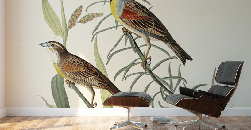 Black-Throated Bunting Wall Murals