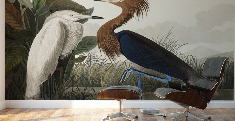 Purple Heron Wall Murals