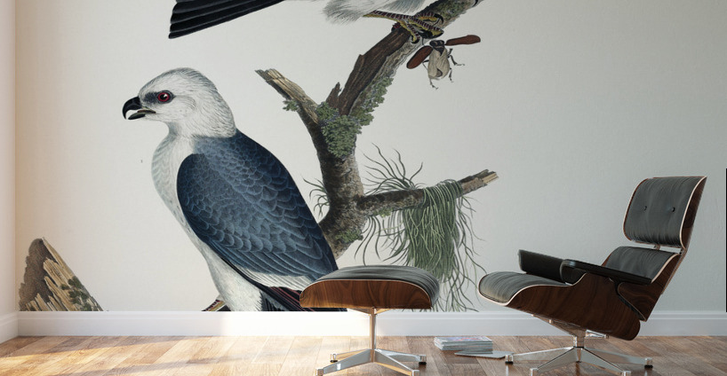Mississippi Kite Wall Murals