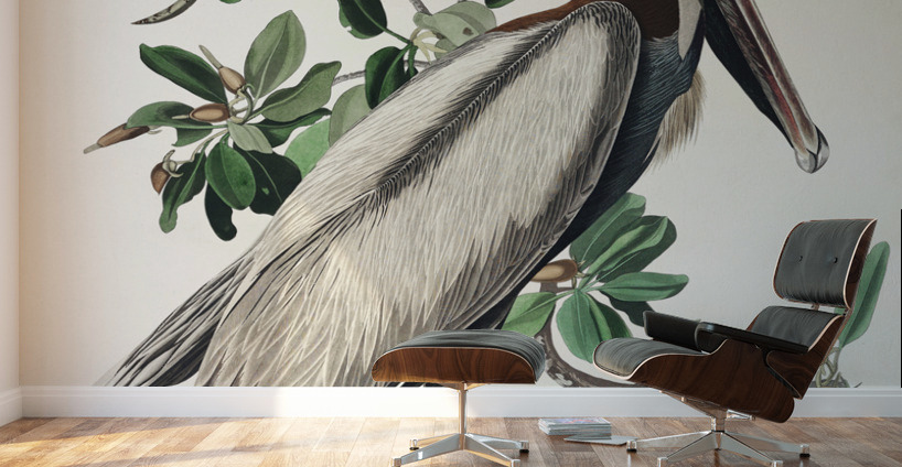 Brown Pelican Wall Murals