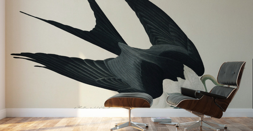 American Magpie Wall Murals
