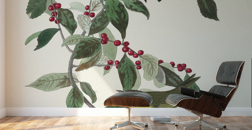 Nashville Warbler Wall Murals