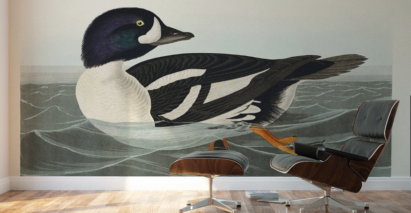 Henslows Bunting Wall Murals