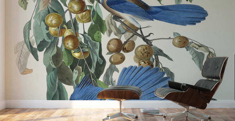 Florida Jay Wall Murals