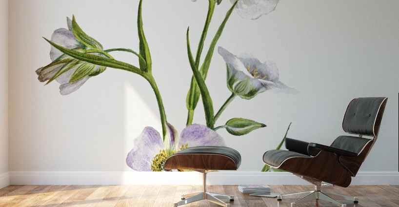 On the Road to Monument 1881 Wall Murals