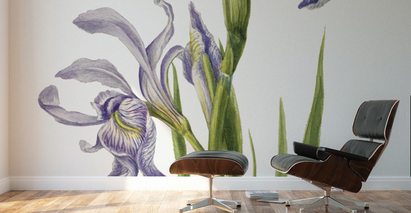 On the Road to Monument 1881 Wall Murals