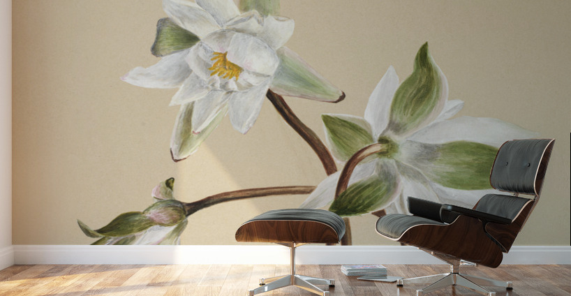 Water Lilies Castalia odorata 1879 Wall Murals