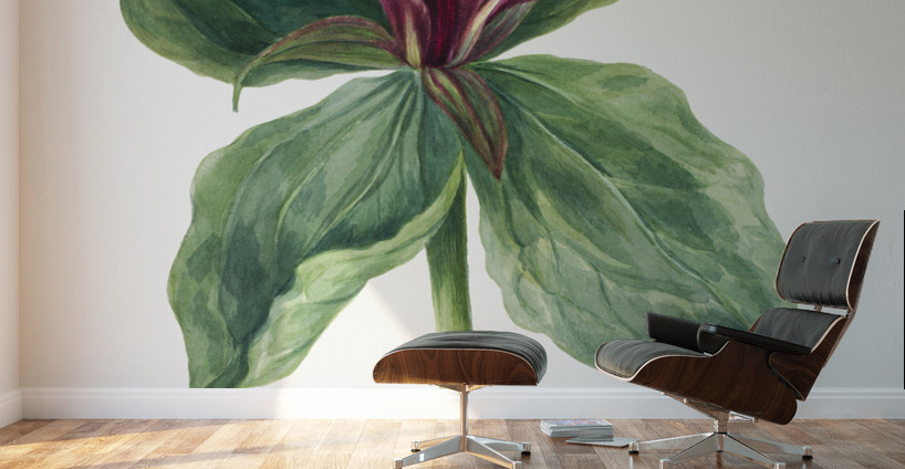 Water Lilies Castalia odorata 1879 Wall Murals