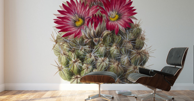 Hedgehog Cactus Coryphantha arizonica 1933 Wall Murals