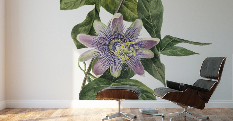 Flower Study 1879 Wall Murals