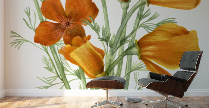 Curly Clematis Clematis crispa 1925 Wall Murals