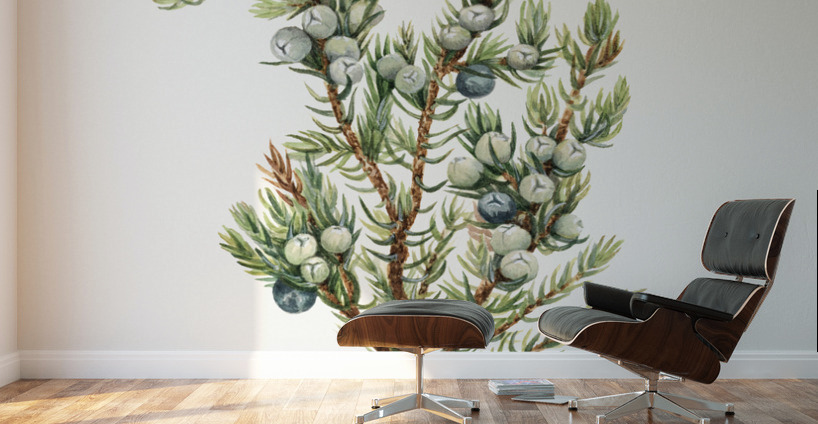 Mountain Juniper Juniperus sibirica 1917 Wall Murals