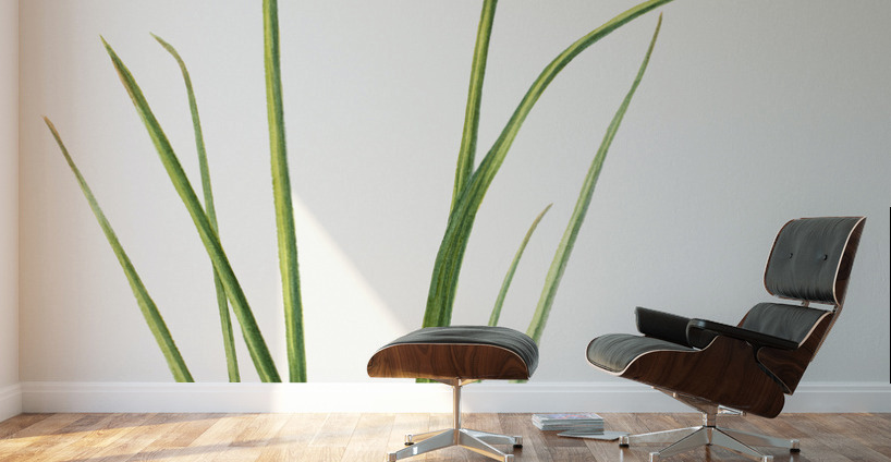 Northern Onion Allium sibiricum 1920 Wall Murals