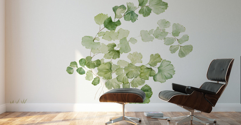 Puccoon Lithospermum ruderale 1923 Wall Murals