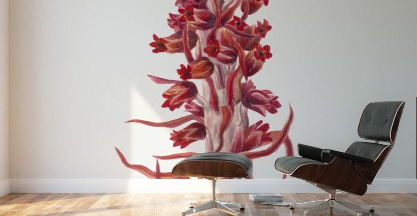 Snow Plant Sarcodes sanguinea 1930 Wall Murals