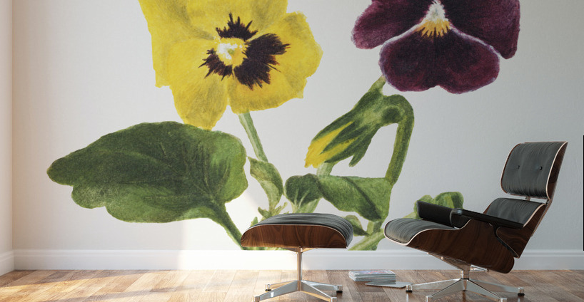 Pansies 1875 Wall Murals