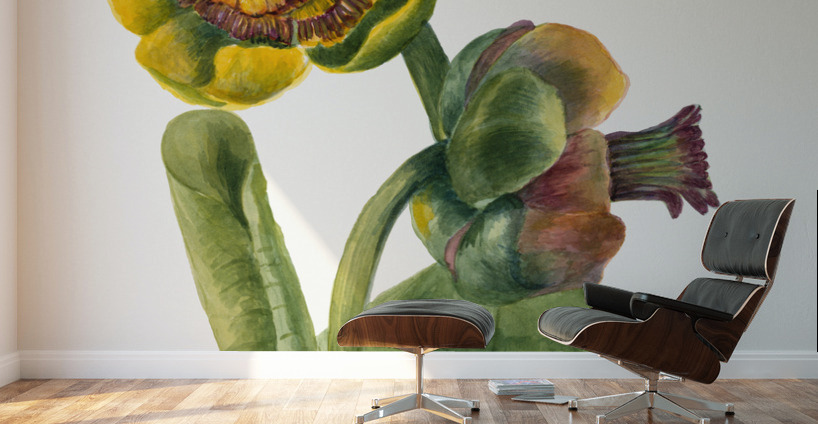 Flower Study 1939 Wall Murals