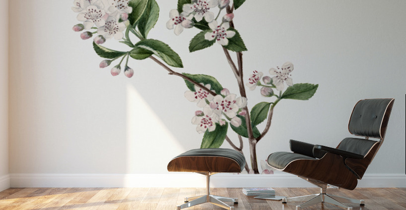 Cucumbertree Magnolia acuminata 1922 Wall Murals