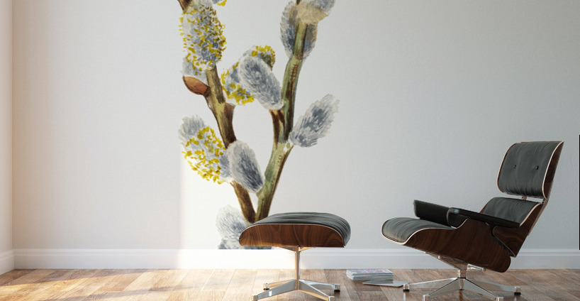 Pussy Willow Salix discolor 1920 Wall Murals