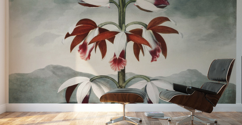 The Chinese Limodoron Wall Murals