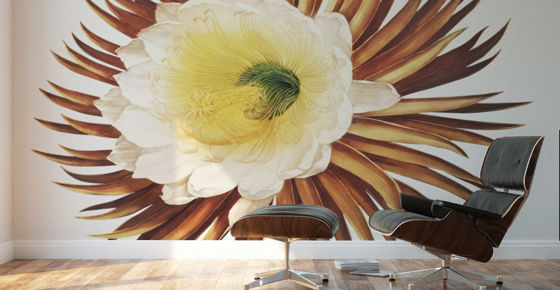The Night–Blowing Cereus Wall Murals