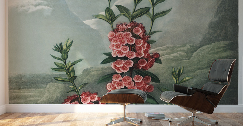 The Narrow–Leaved Kalmia Wall Murals