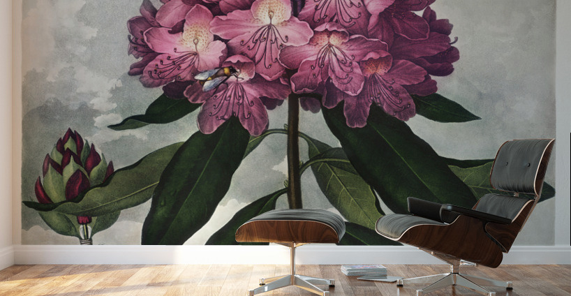 The Pontic Rhododendron Wall Murals