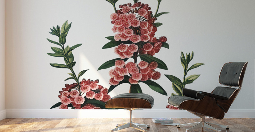 The Narrow–Leaved Kalmia Wall Murals
