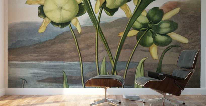Pitcher Plant  Wall Murals