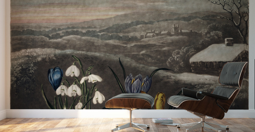 The Snowdrops Wall Murals