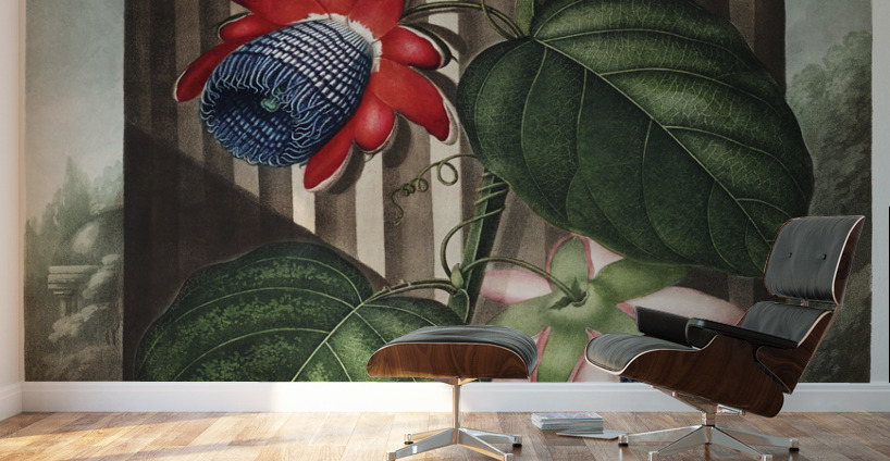 The Winged Passion-Flower Wall Murals