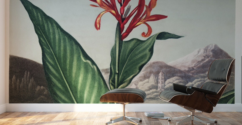 Indian Reed  Wall Murals