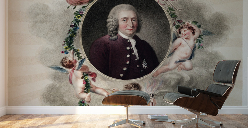 The Portrait of Carl Linnaeus  Wall Murals