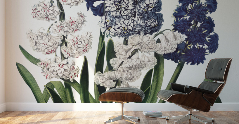 The Winged Passion-Flower Wall Murals