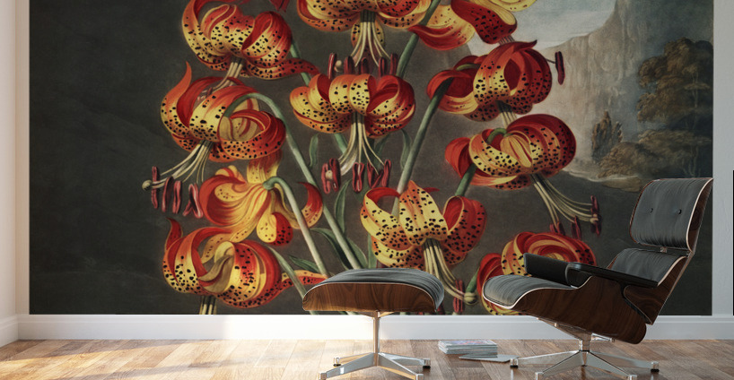 The Superb Lily Wall Murals