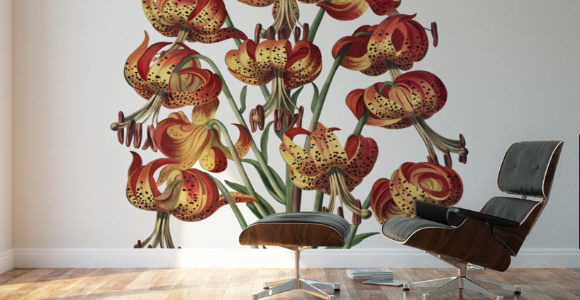 The Superb Lily  Wall Murals