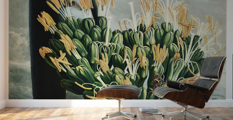 The Aloe Wall Murals
