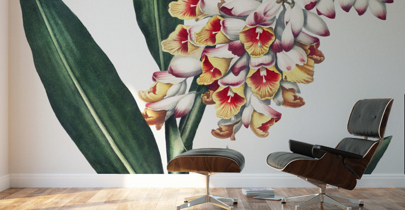 The Nodding Renealmia Wall Murals