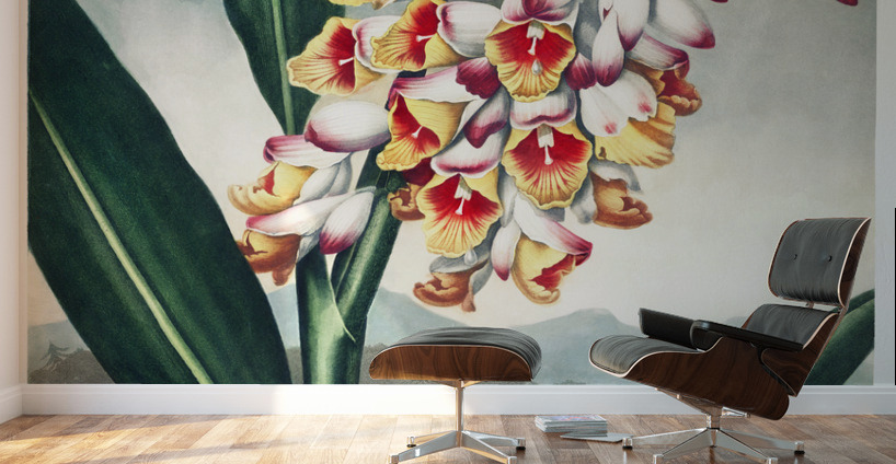 The Nodding Renealmia Wall Murals