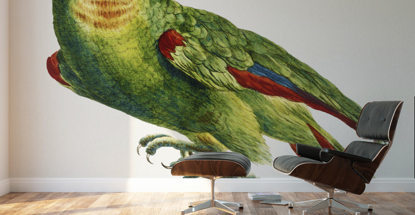 Pappagallo verde del Brasile col capo giallo e fronte celeste Parrot Wall Murals