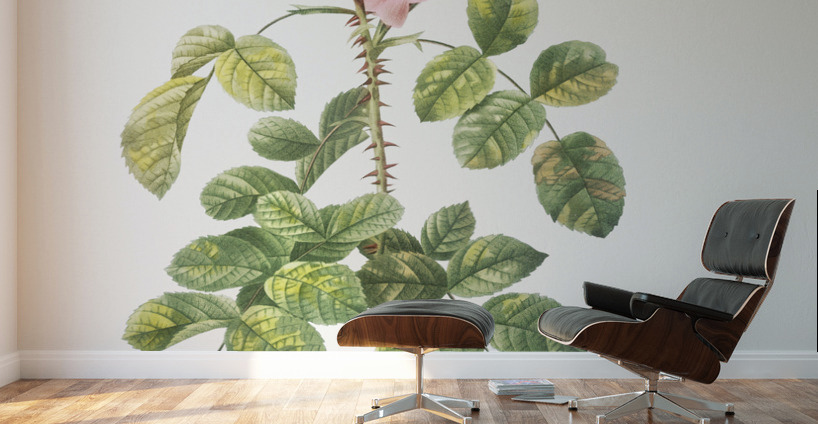 Four seasons rose in bloom Wall Murals