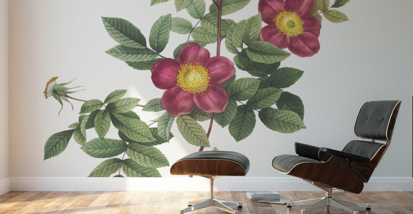 Blooming alpine rose Wall Murals