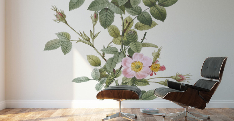 Speckled provins rose Wall Murals