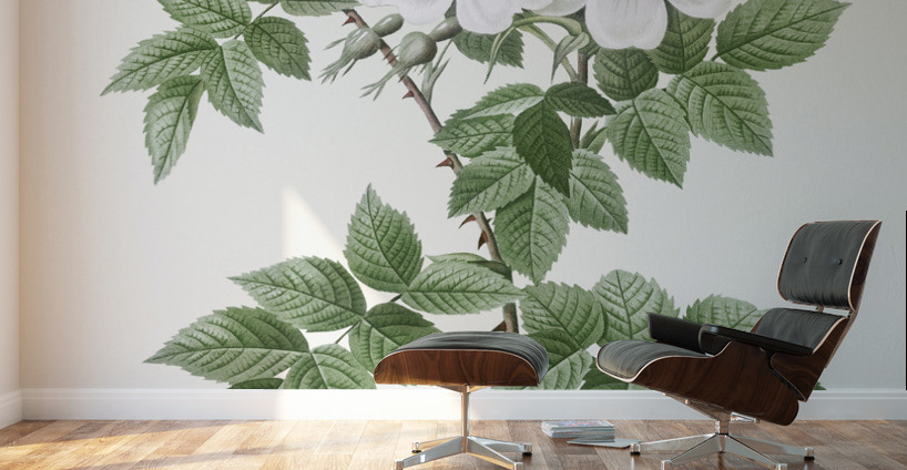 Blooming white rosebush Wall Murals