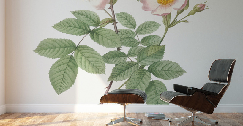 Beautiful field rose Wall Murals