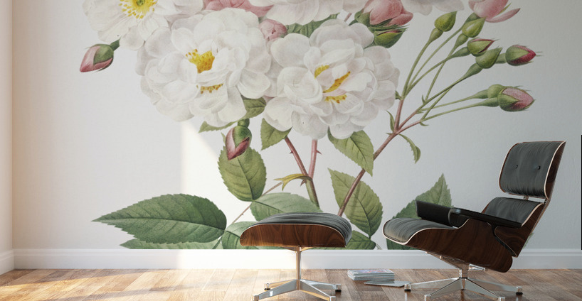 Flowering rosebush Wall Murals