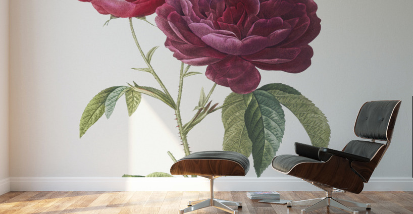 Blooming purple roses Wall Murals